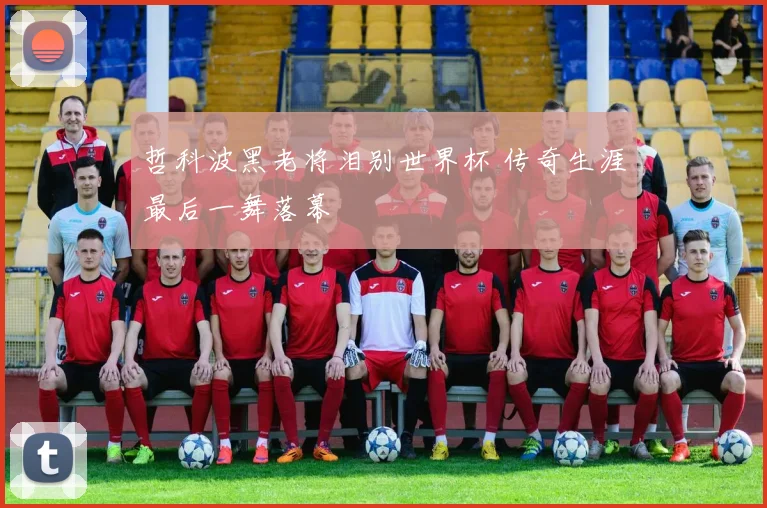 哲科波黑老将泪别世界杯 传奇生涯最后一舞落幕