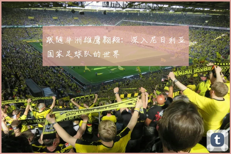 跟随非洲雄鹰翱翔：深入尼日利亚国家足球队的世界
