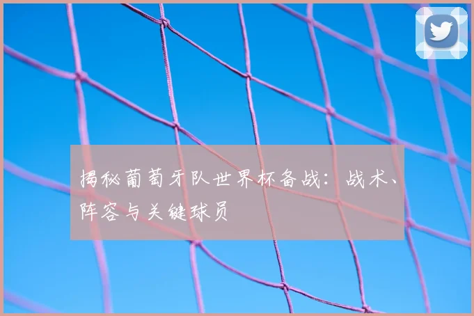 揭秘葡萄牙队世界杯备战:战术、阵容与关键球员